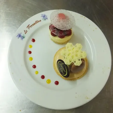 Hotel Le Ferraillon 3*