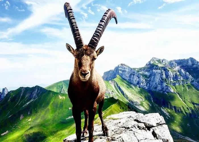 弗莱昂酒店 酒店 3*